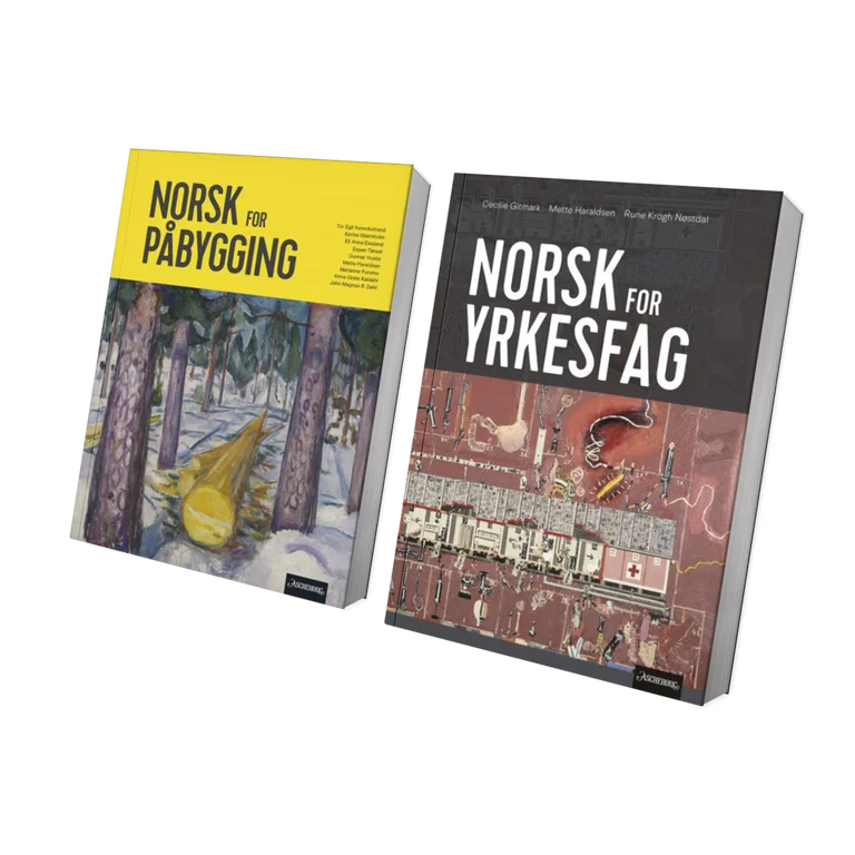 Lærebøkene Norsk for påbygging og Norsk for yrkesfag skråstilt ved siden av hverandre.