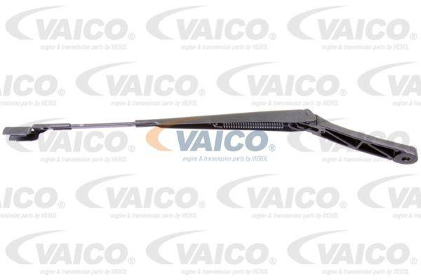 Viskerarm Foran Venstre