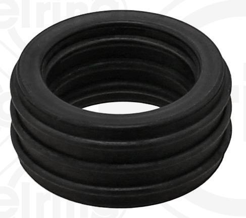 Packning, EGR-ventilledning