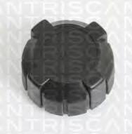 TRISCAN RADIATORLOKK