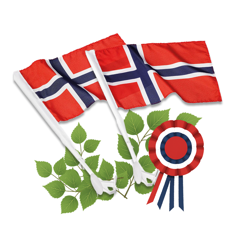 2 stk norske bilflagg