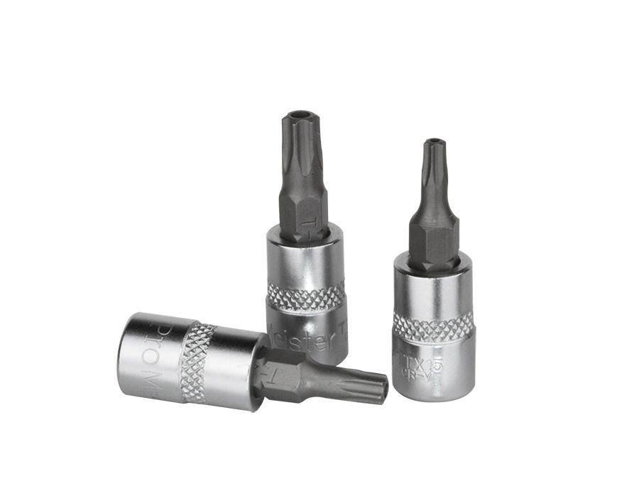 PROMEISTER 1/4" PIPEBITS TORX M/HULL