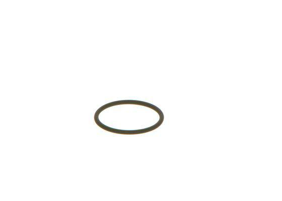 O-ring