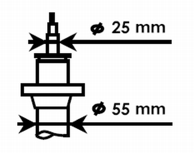 Fjærbein