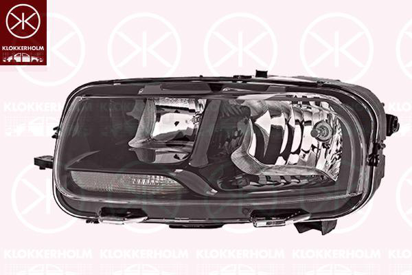 Hovedlyskaster