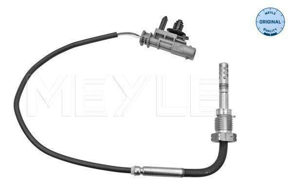 Avgastemperatursensor