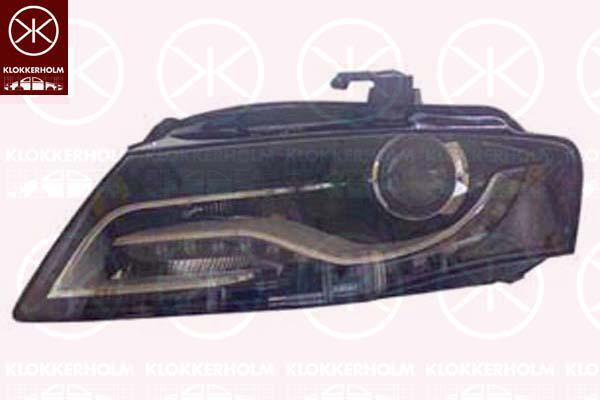 Hovedlyskaster