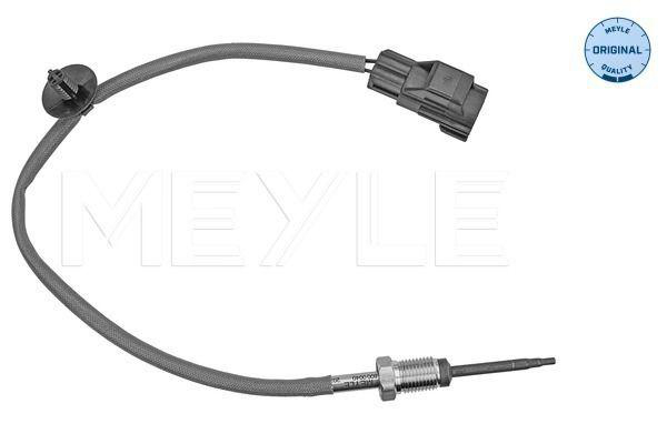Avgastemperatursensor