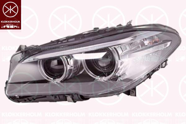 Hovedlyskaster