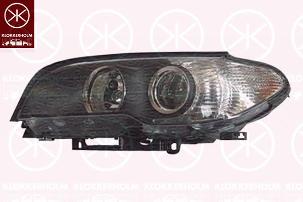 Hovedlyskaster