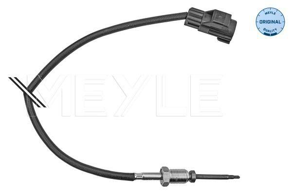 Eksostemperatursensor