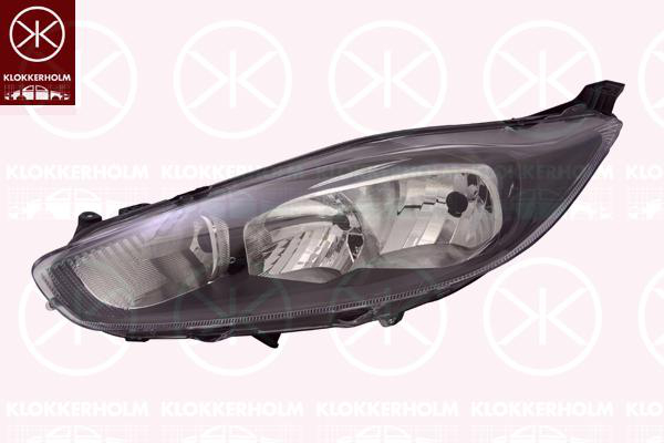 Hovedlyskaster