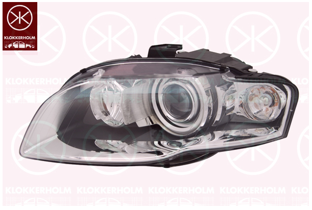 Hovedlyskaster