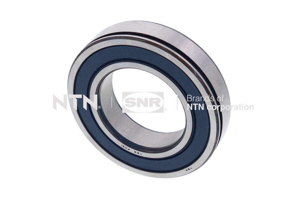eMotor Bearings