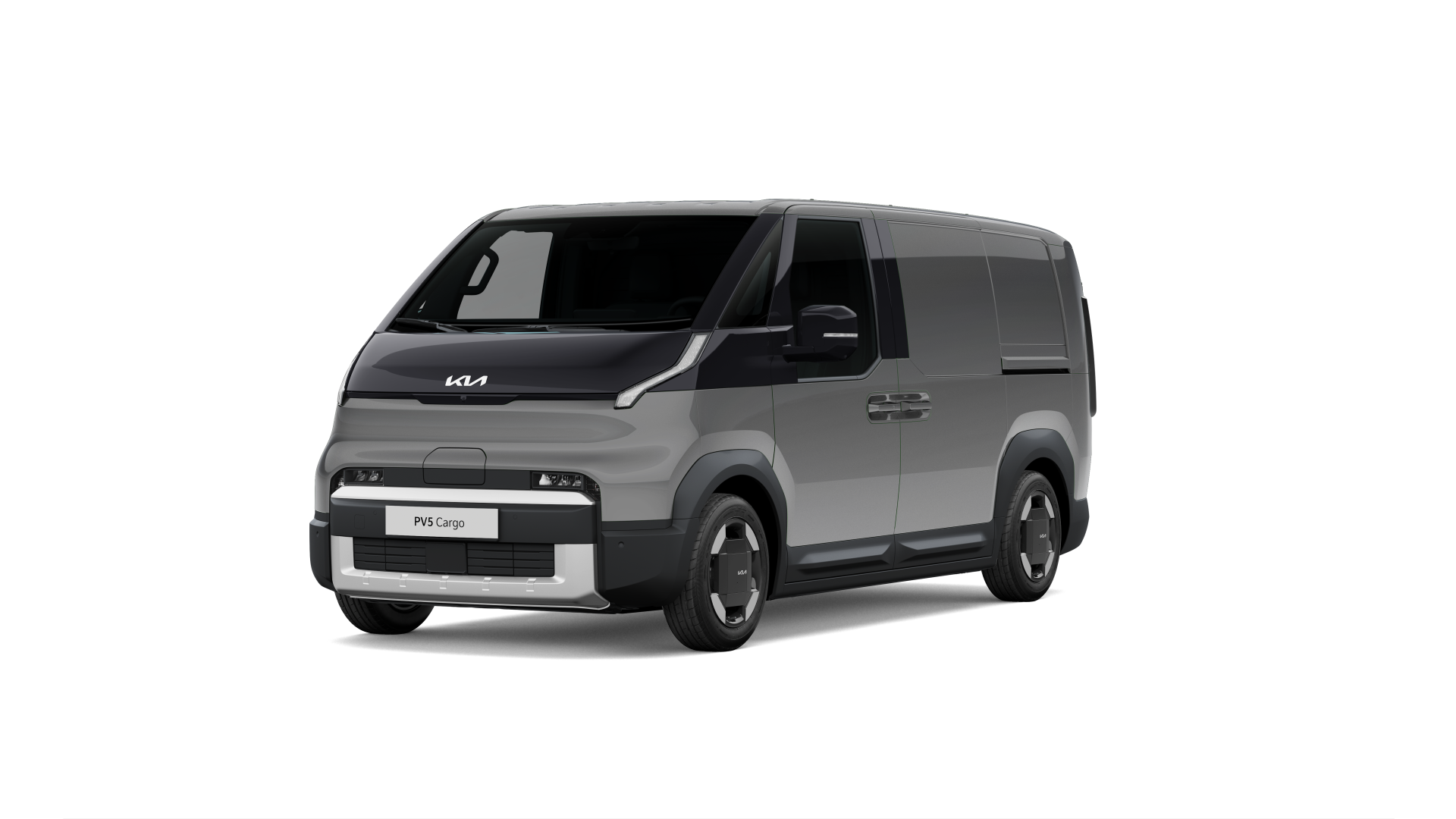 Steel Grey Pearl Metallic