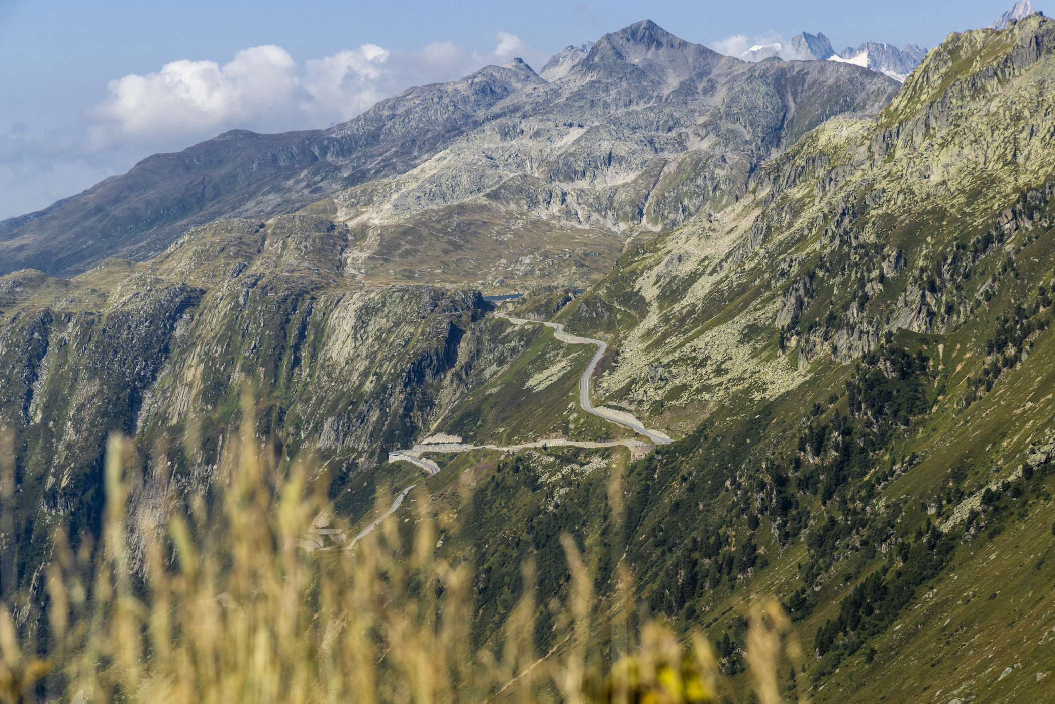 Grimselpass Sveits