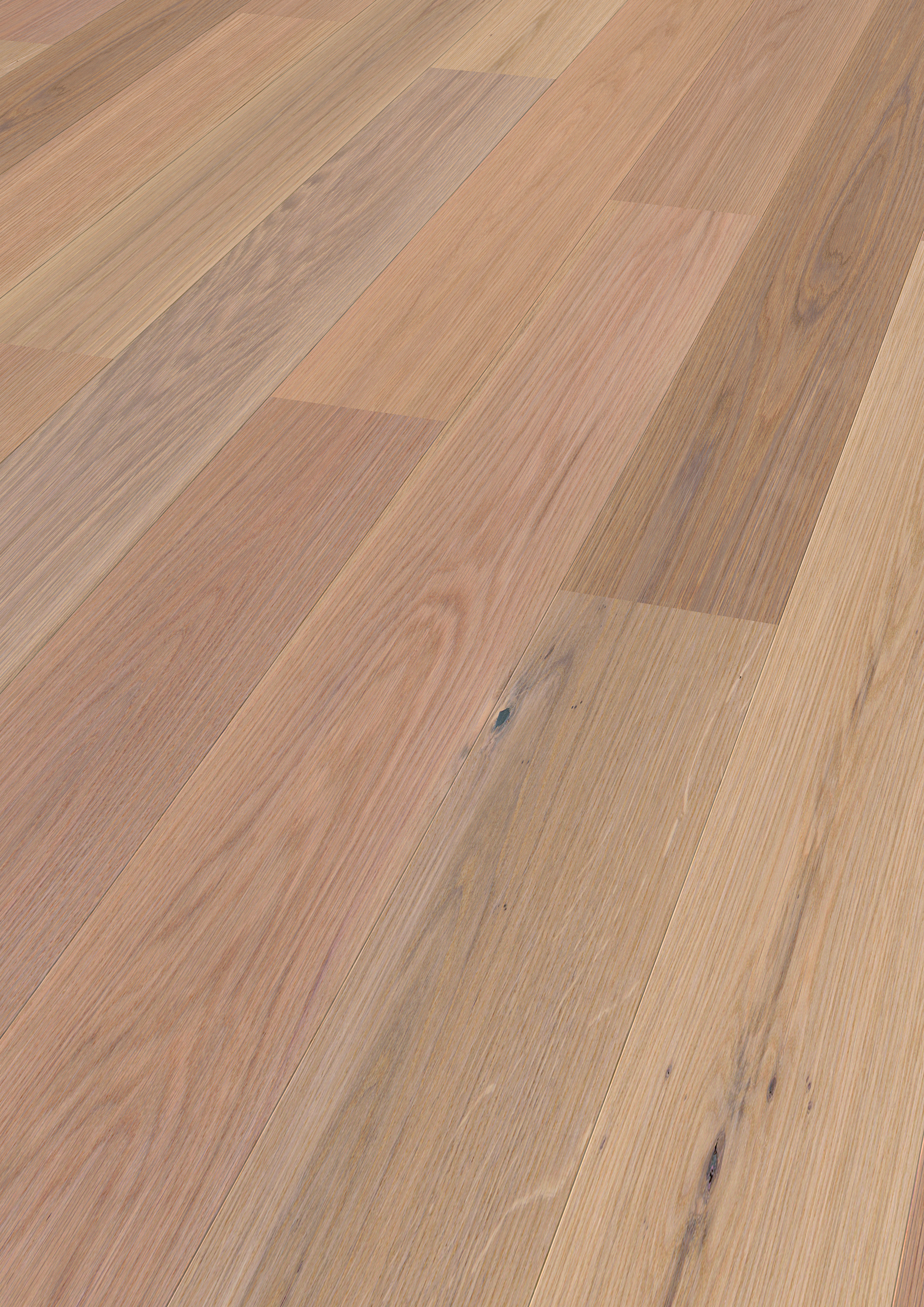 PARKETT SAGA ELEGANT COCONU VARIOUS