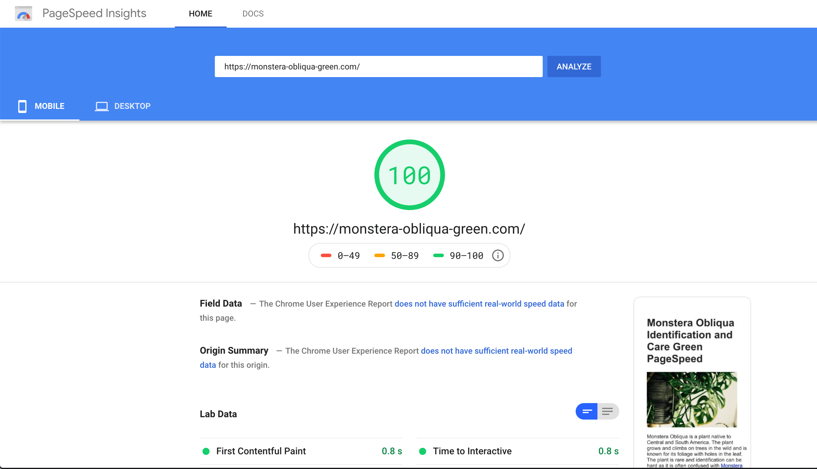 Green page speed score