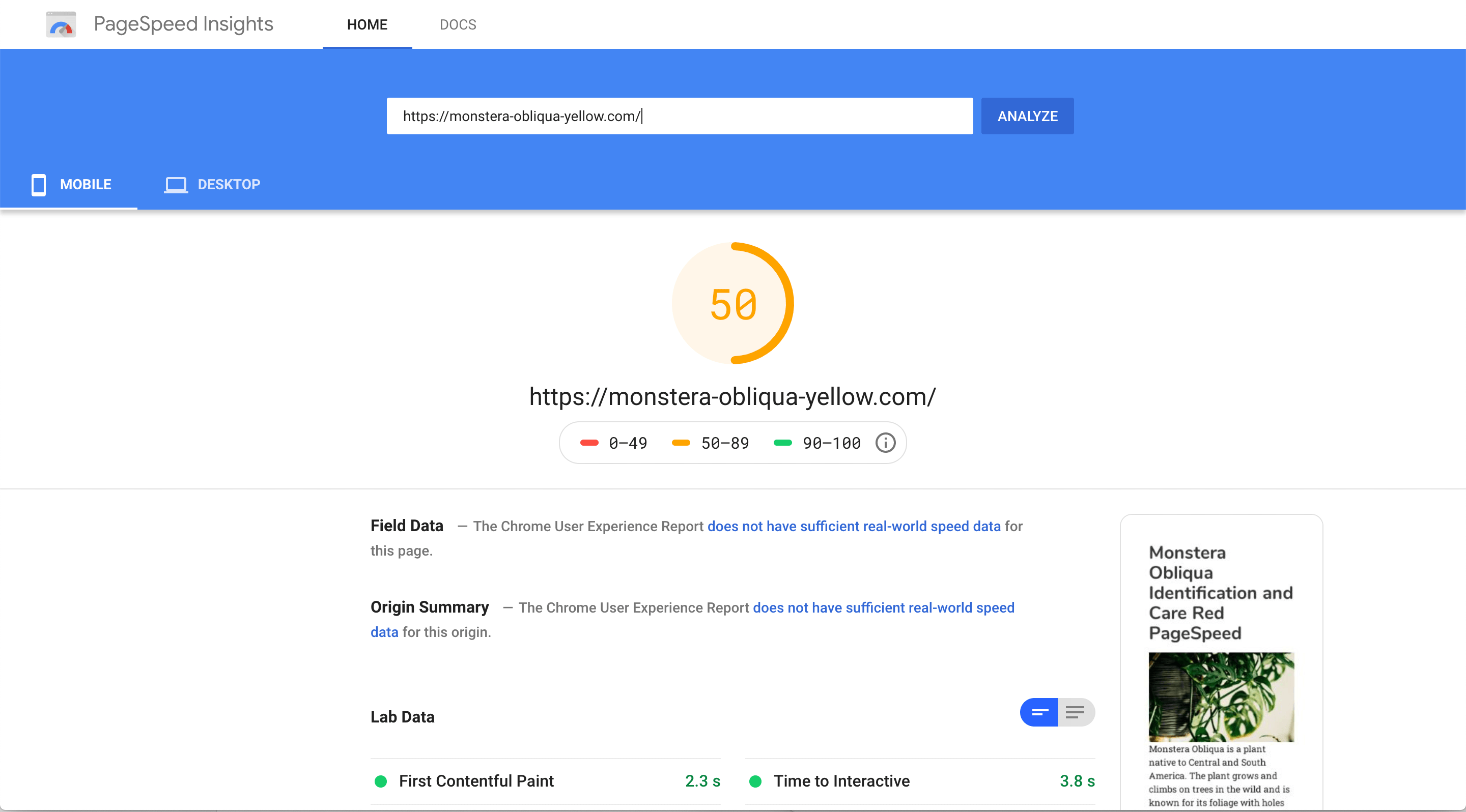 page speed seo test