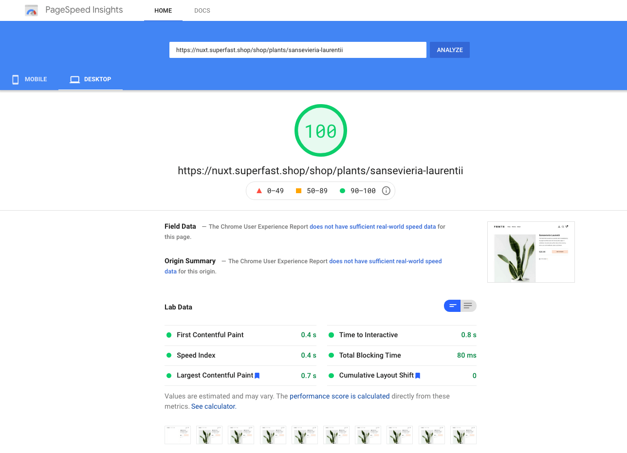 Vue.js + Nuxt.js storefront boilerplate PageSpeed scores screenshot