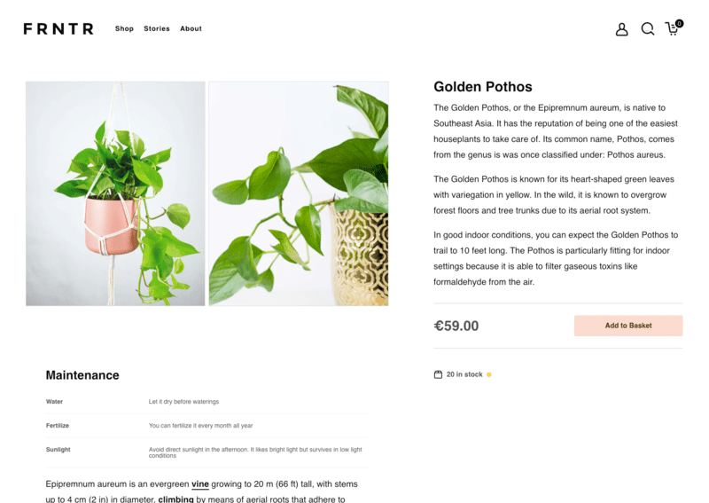 Screenshot of the product page eCommerce built with VueJS and NuxtJS