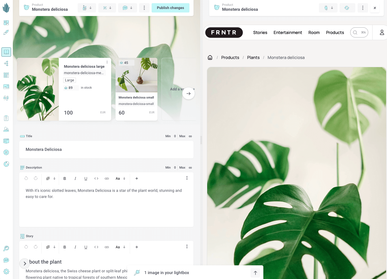 Split view with Web preview