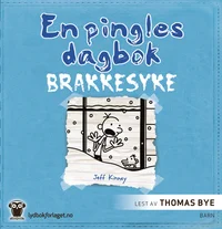 Brakkesyke