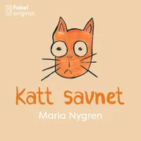 Katt savnet