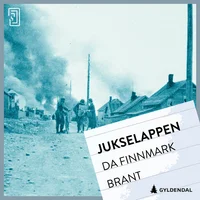 Da Finnmark brant