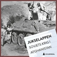 Sovjets krig i Afghanistan