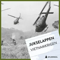 Vietnamkrigen