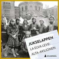 Alta-saken