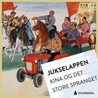 Kina og det store spranget