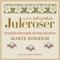 Då eg heilt uforvarande vart kone på julaftan