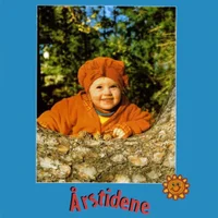 Årstidene