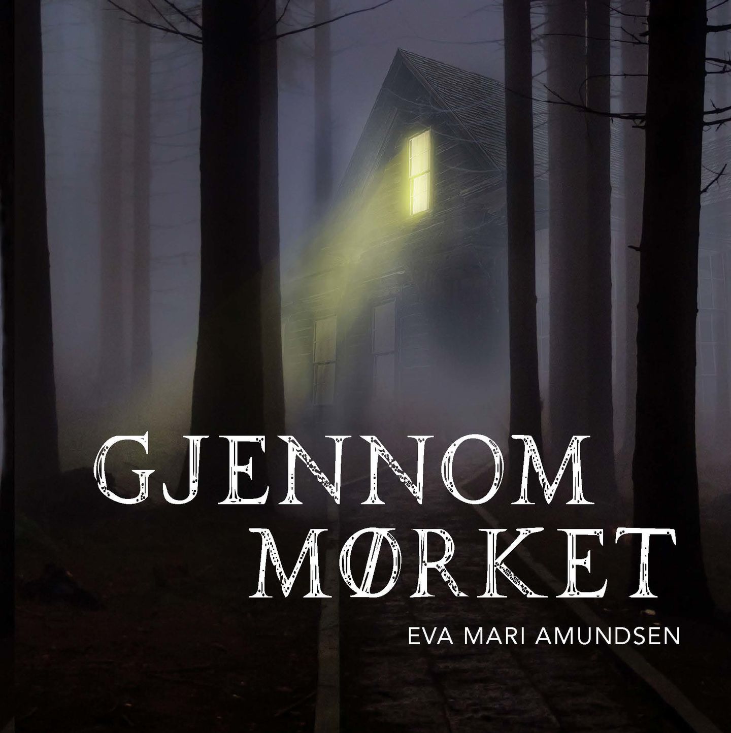 Gjennom mørket