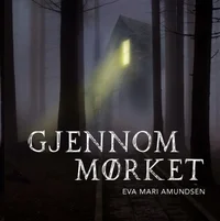 Gjennom mørket