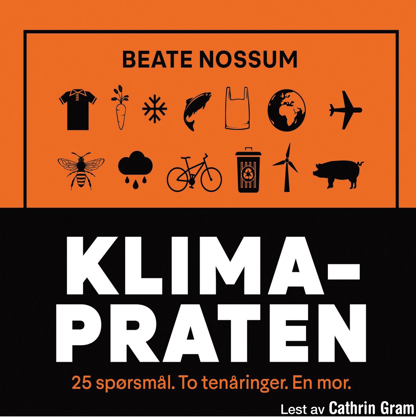 Klimapraten