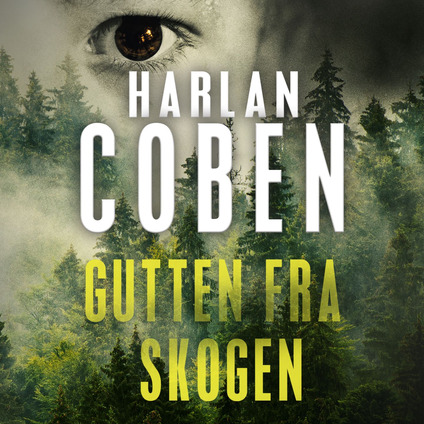 Gutten fra skogen