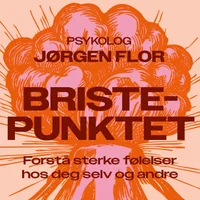 Bristepunktet