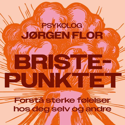 Bristepunktet
