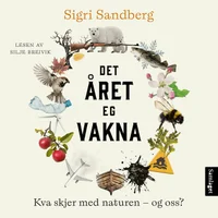 Det året eg vakna