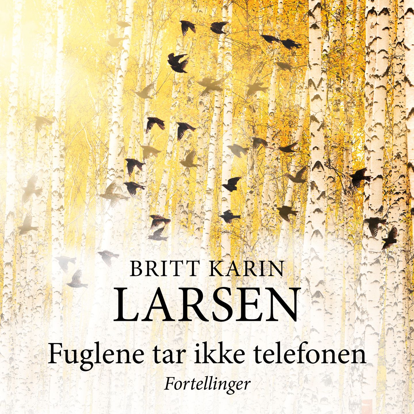 Fuglene tar ikke telefonen