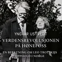 Verdensrevolusjonen på Hønefoss