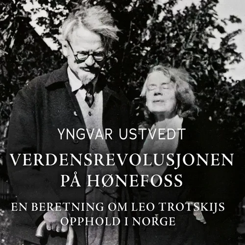 Verdensrevolusjonen på Hønefoss