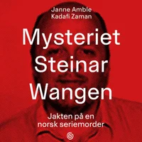 Mysteriet Steinar Wangen