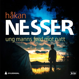 Lydboken Ung manns ferd mot natt av Håkan Nesser