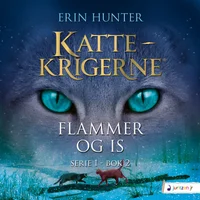 Flammer og is
