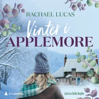 Vinter i Applemore
