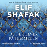 Det er elver på himmelen